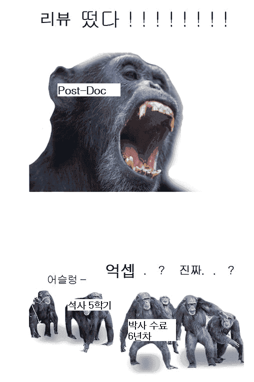 5D8752.png