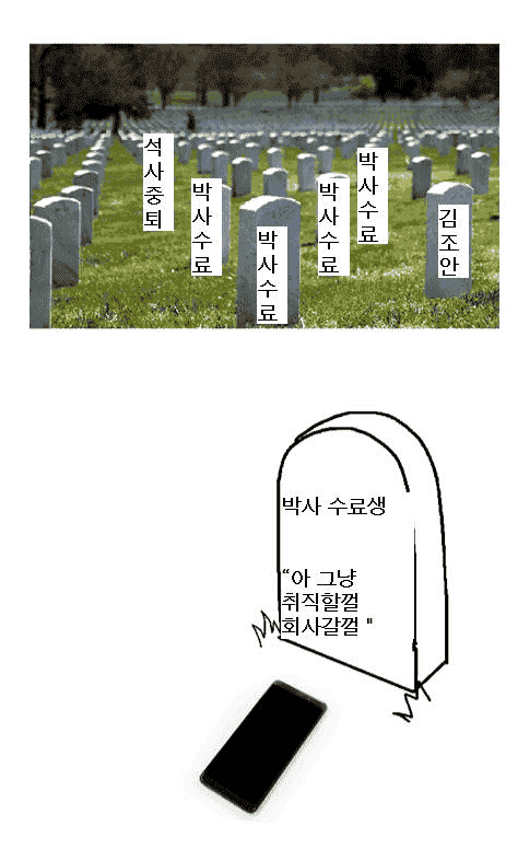 72C3AE.png
